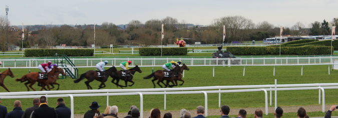 cheltenham racecourse horses running