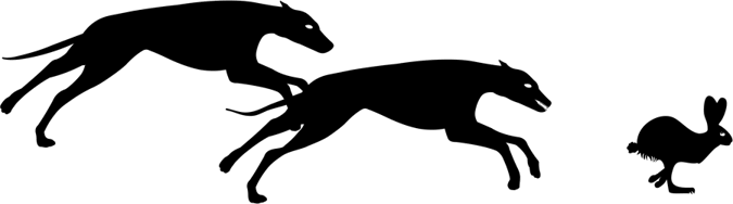 greyhound racing history