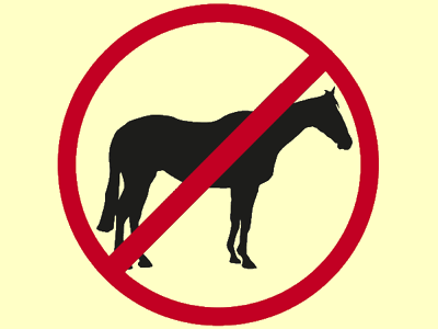 illegal horse racing